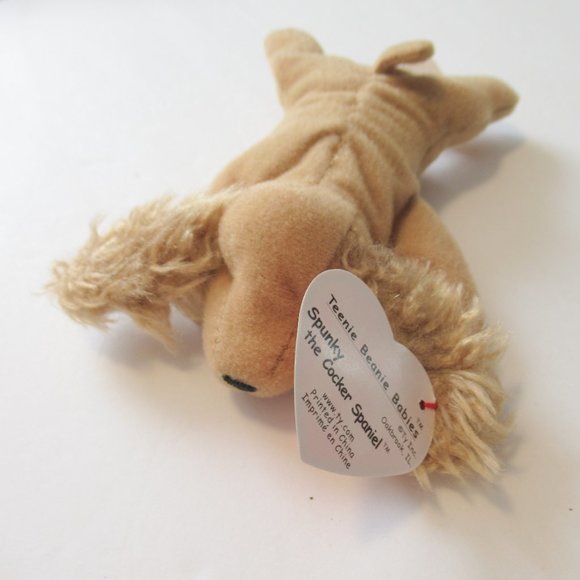 Spunky the catnip teenie Cocker Spanel - Picture 3 of 5